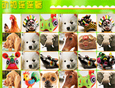 寵物連連看2013