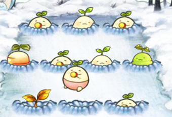 拔蔓陀蘿 Mandora